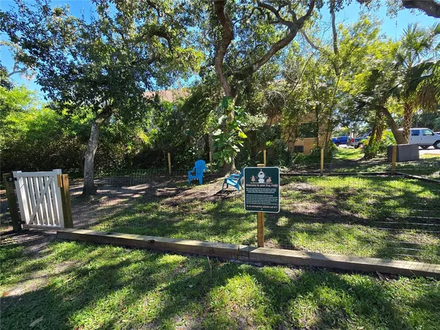 a view of a park with large trees