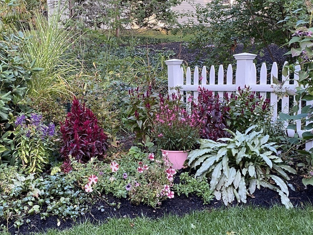 20 Stowell Road Winchester, MA 01890 - Photo 32 of 34 a view of a flower in a garden