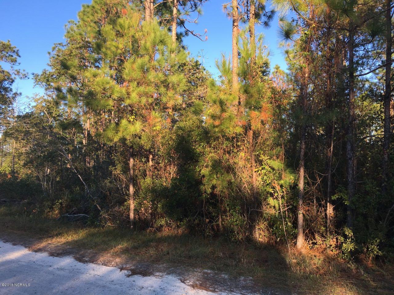 2270 Fieldcrest Road Southport, NC 28461 - Photo 1 of 2 2270Fieldcrest