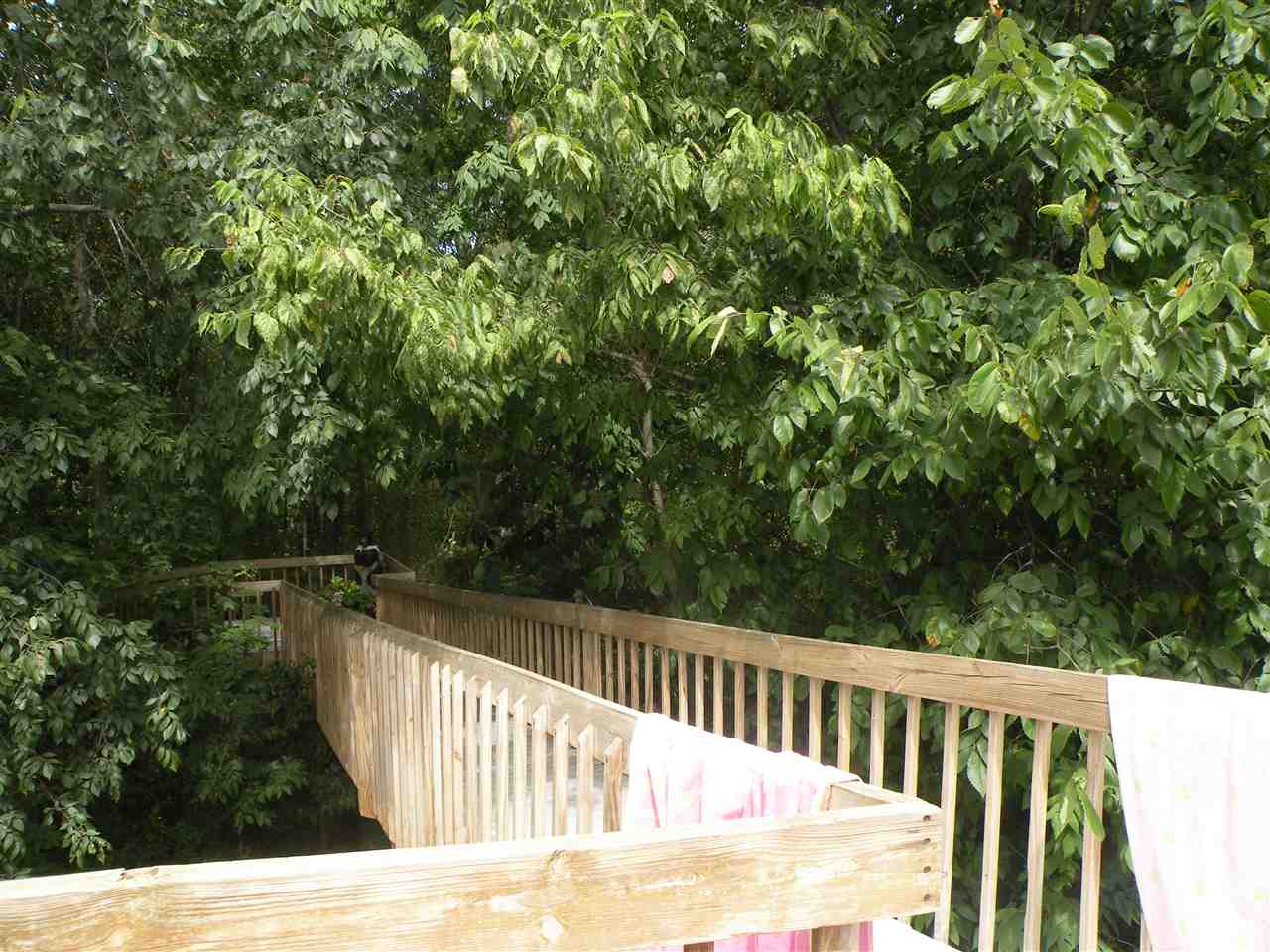 14101 Puff Road Fort Wayne, IN 46845 - Photo 4 of 23