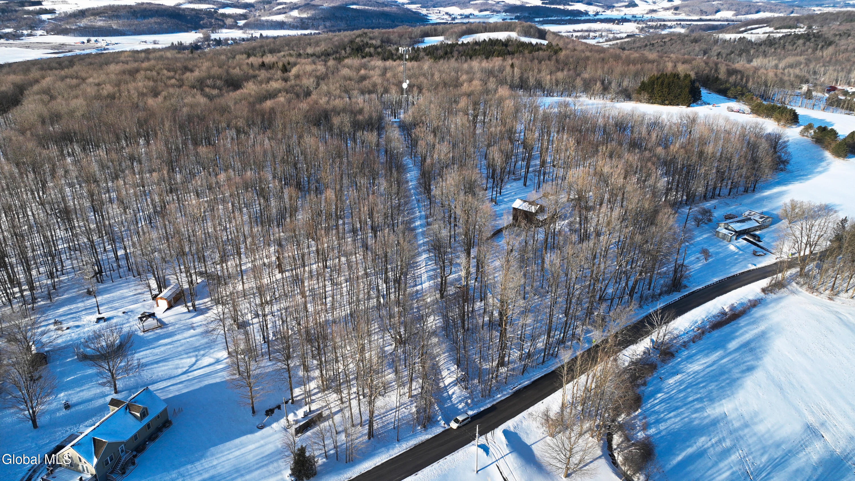 3095 Johnny Cake Hill Rd - Hamilton NY-1