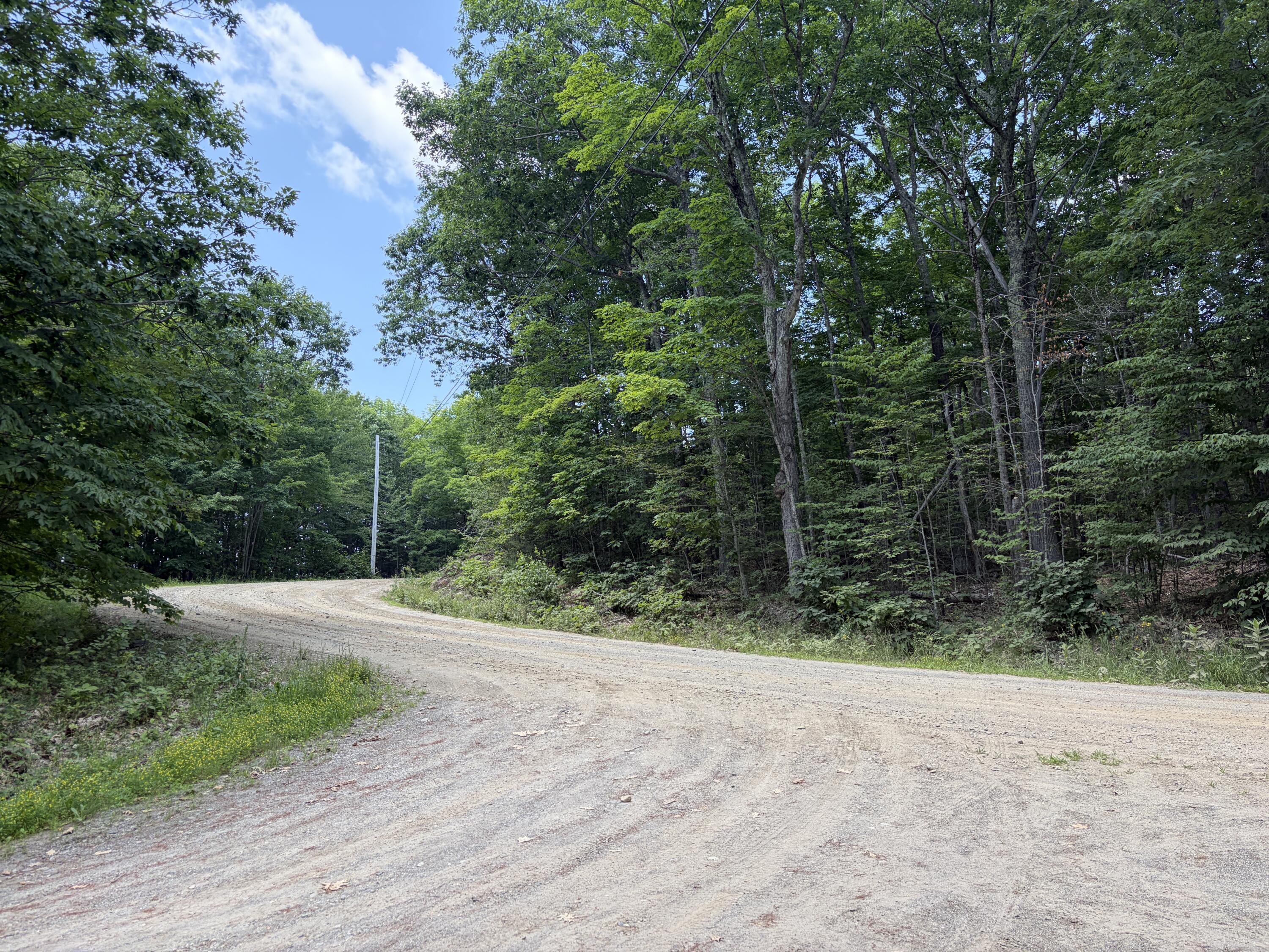 32-acres Belden Woods Road Palermo, ME 04354 - Photo 1 of 28 IMG_8283