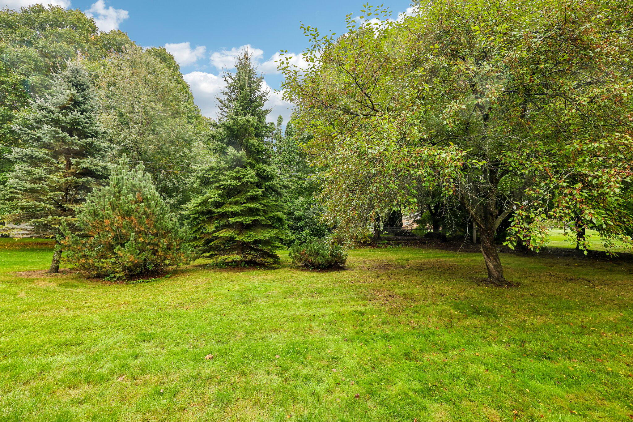 21875 Clearfield Road Brookfield, WI 53045 - Photo 21 of 29 Well Maintained Yard