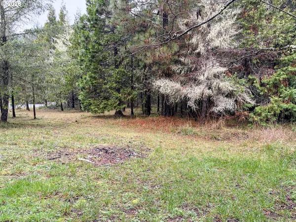 a view of some trees and bushes