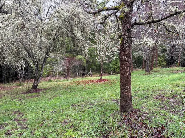 a view of a tree in a yard