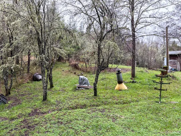 a park with lots of trees