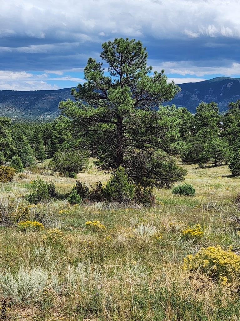 15 Arroyo Road Westcliffe, CO 81252 - Photo 20 of 29 Gallery Image 20