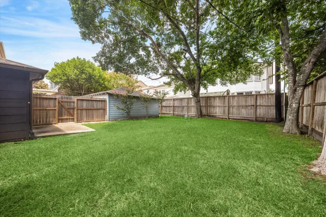 a view of a yard with a large tree and a fence