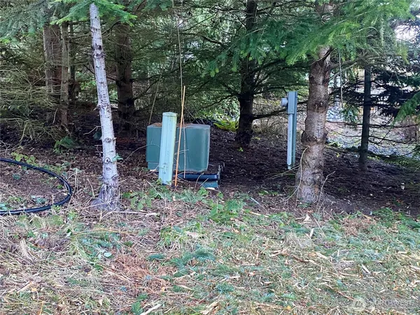 a view of a backyard with trees