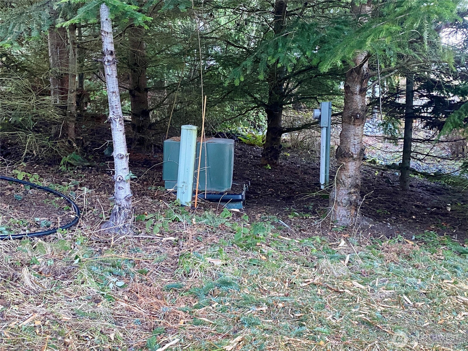 0 Chelsamish Drive Sequim, WA 98382 - Photo 15 of 24 a view of a backyard with trees