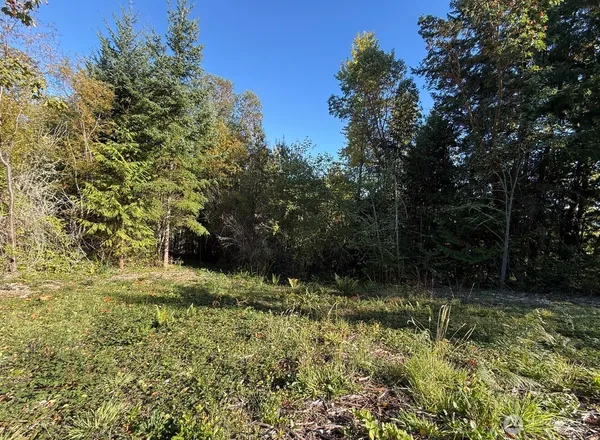 a view of outdoor space and a yard
