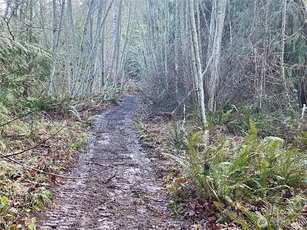 a big yard with lots of green space