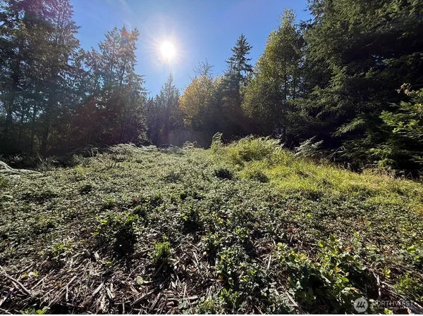 a backyard of a building