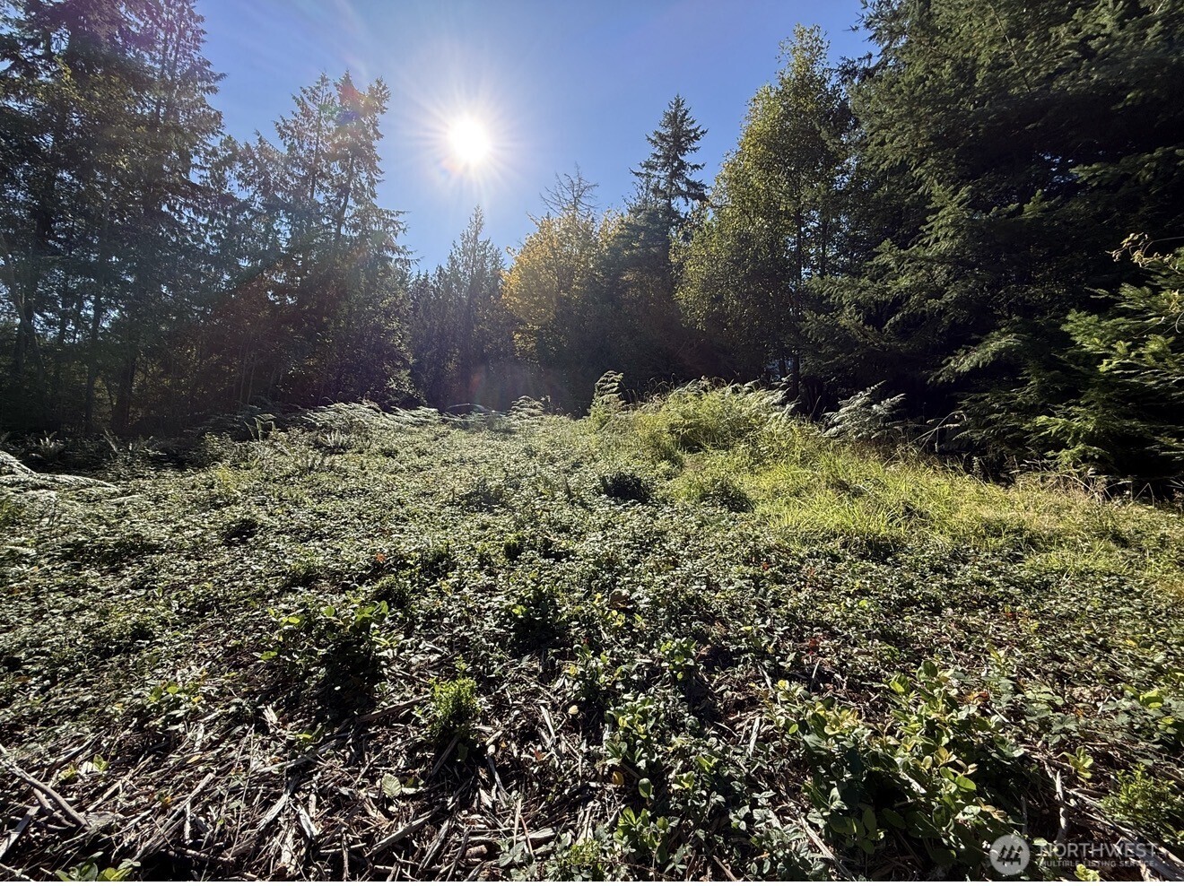 0 Chelsamish Drive Sequim, WA 98382 - Photo 2 of 24 a backyard of a building