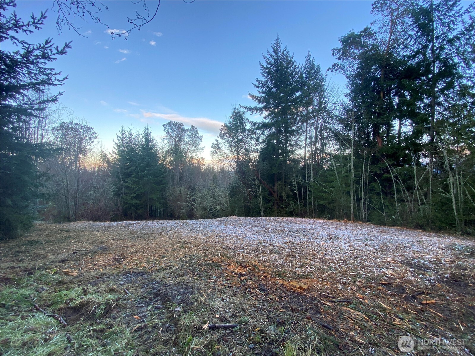 0 Chelsamish Drive Sequim, WA 98382 - Photo 3 of 24 a view of an outdoor space with trees