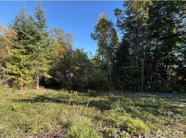 a view of outdoor space and a garden