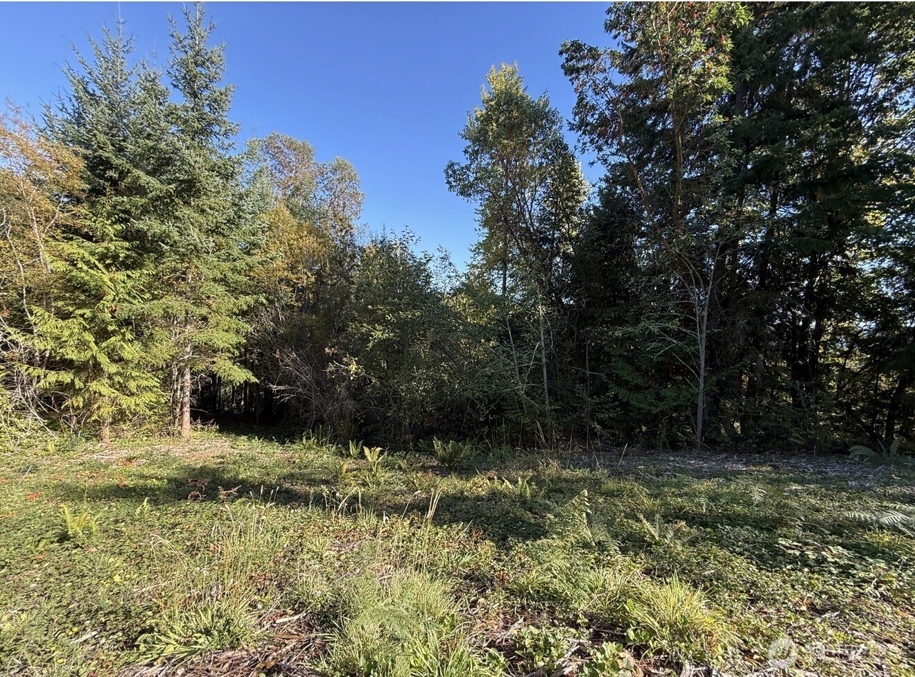 0 Chelsamish Drive Sequim, WA 98382 - Photo 4 of 24 a view of outdoor space and a garden