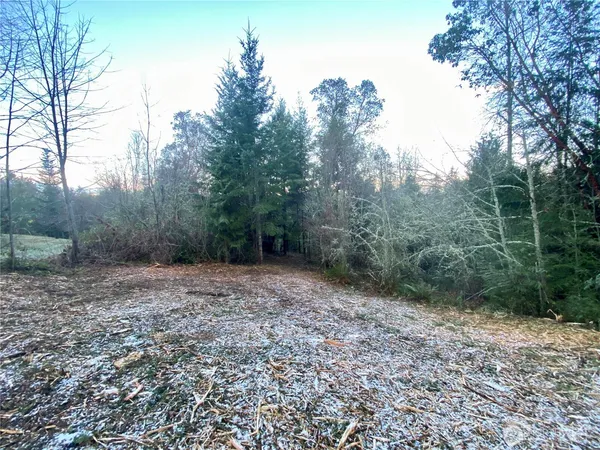 a view of a yard with trees