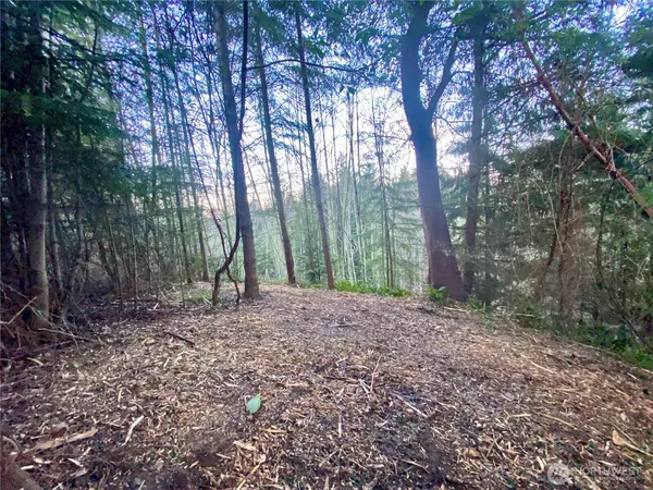 a view of outdoor space and tree