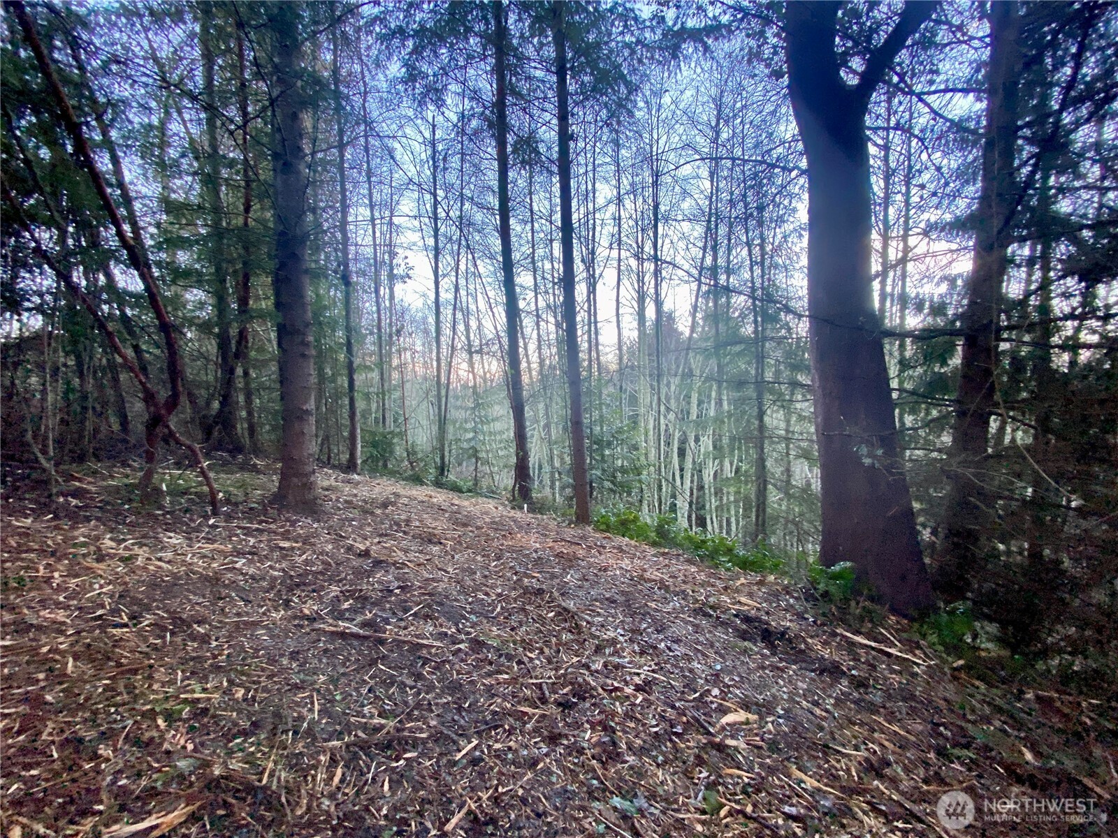 0 Chelsamish Drive Sequim, WA 98382 - Photo 10 of 24 a backyard of a house with lots of green space