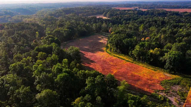 $614,900 | 0 North 1000th, Perrysville, IN 47974