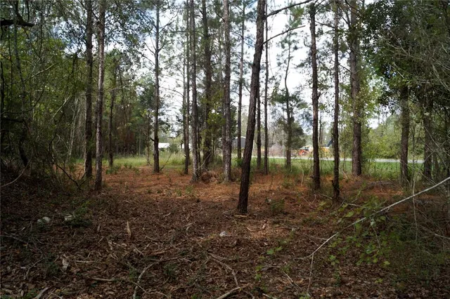 $79,900 | 90 Hwy Macclenny Highway, Macclenny, FL 32063