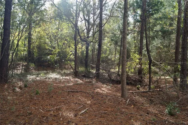 $79,900 | 90 Hwy Macclenny Highway, Macclenny, FL 32063