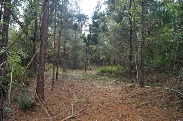 $79,900 | 90 Hwy Macclenny Highway, Macclenny, FL 32063