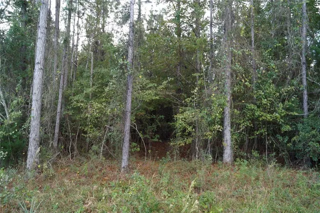 $79,900 | 90 Hwy Macclenny Highway, Macclenny, FL 32063