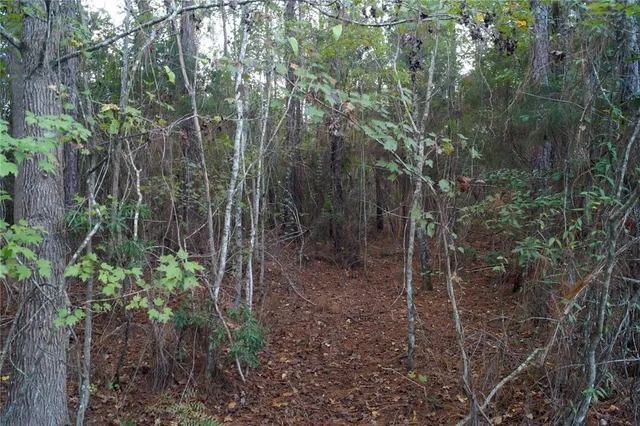 $79,900 | 90 Hwy Macclenny Highway, Macclenny, FL 32063