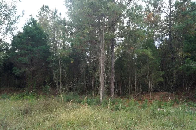 $79,900 | 90 Hwy Macclenny Highway, Macclenny, FL 32063