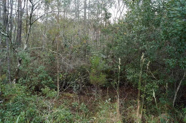 $79,900 | 90 Hwy Macclenny Highway, Macclenny, FL 32063
