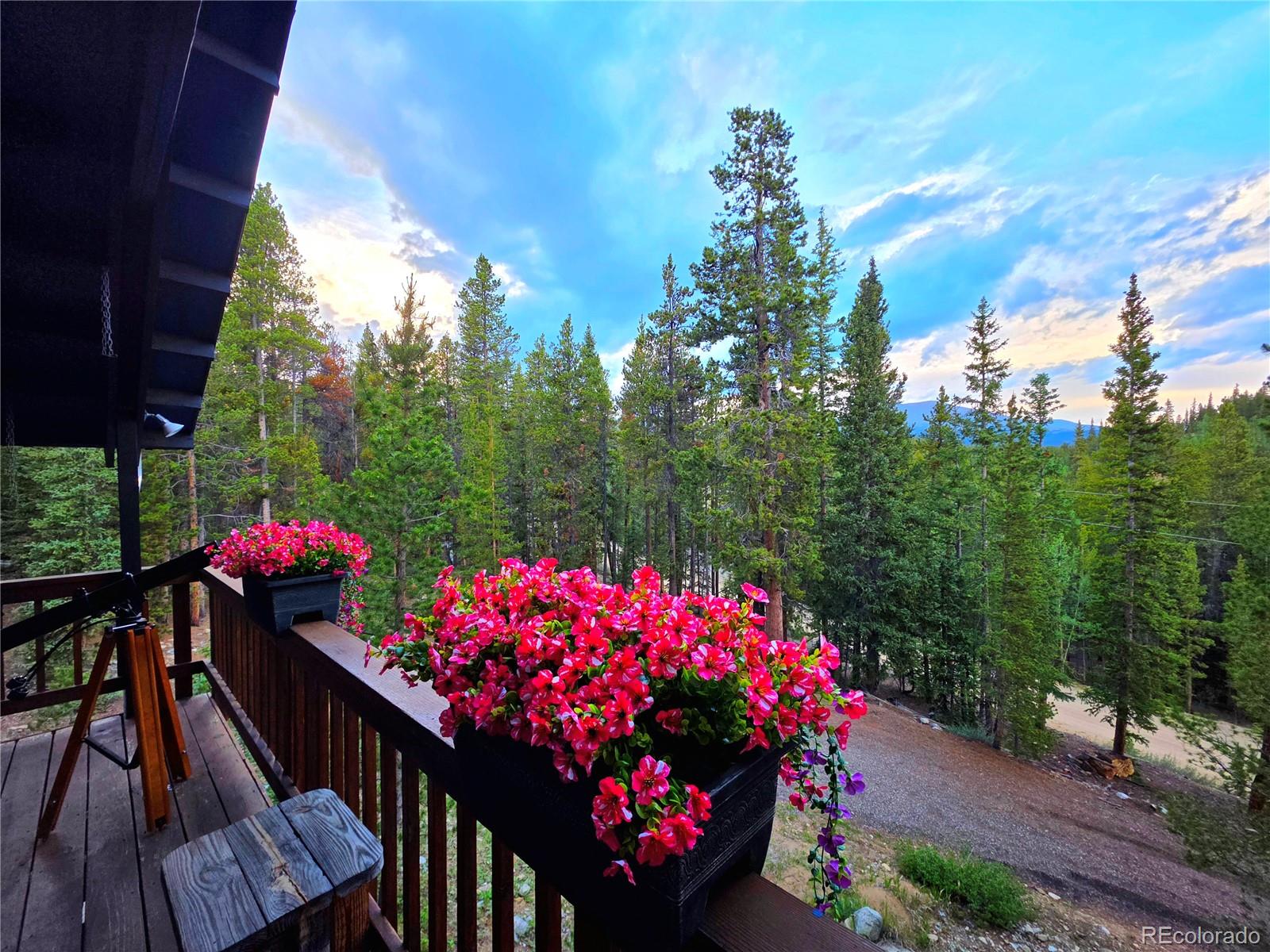 211 Pine Ridge Road Alma, CO 80420 - Photo 13 of 48