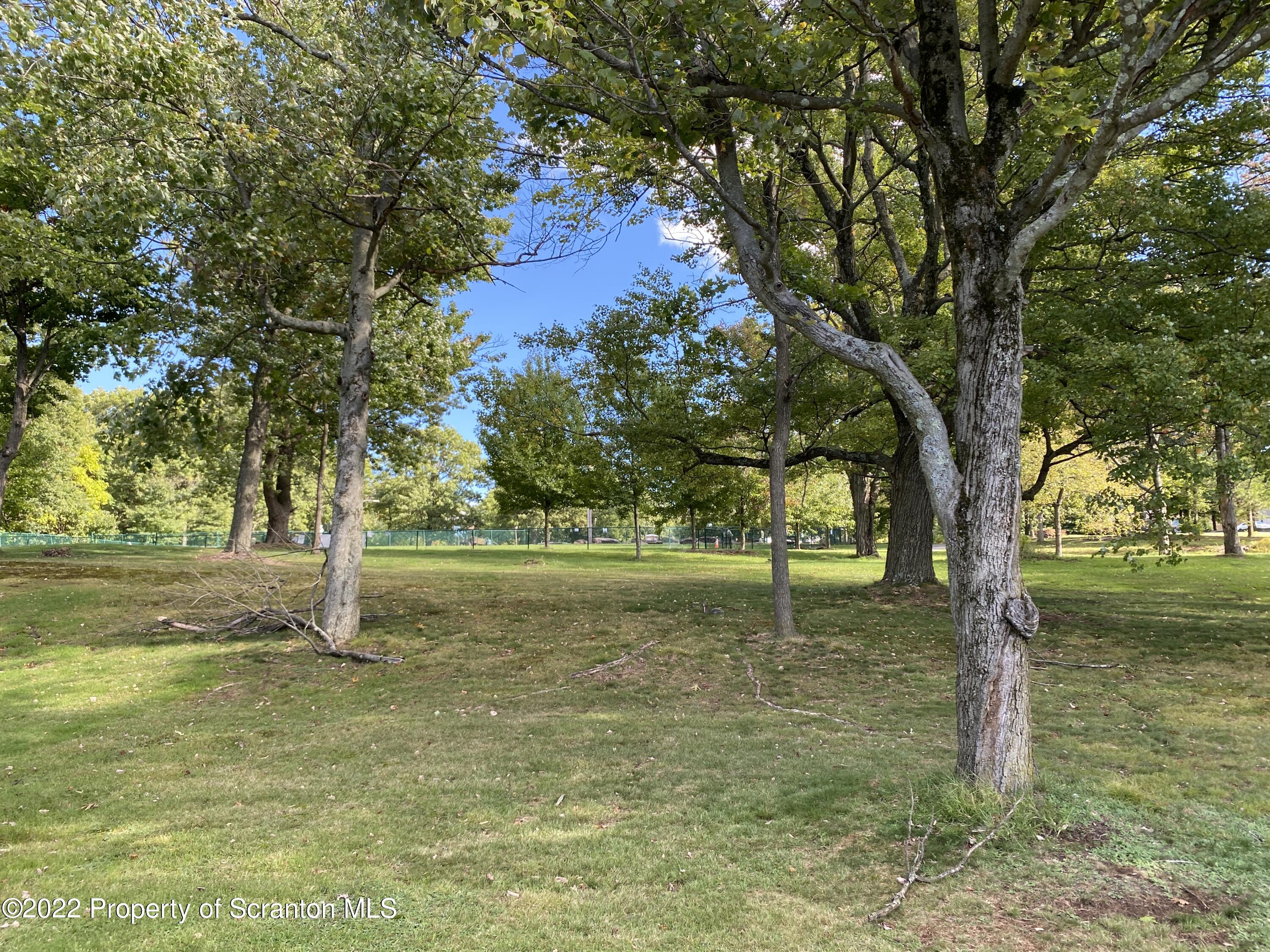 2008 South Webster Avenue Scranton, PA 18505 - Photo 37 of 37 a big yard with lots of green space and palm trees