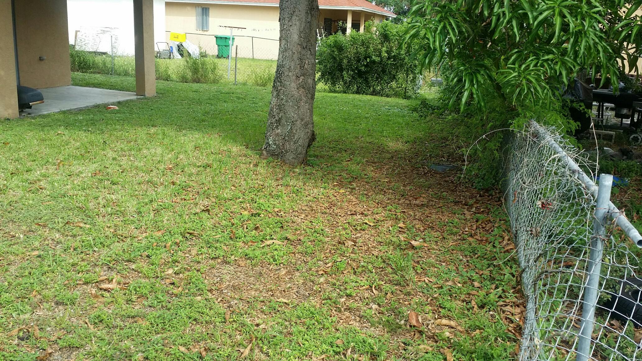 641 West 10th Street Riviera Beach, FL 33404 - Photo 20 of 24 pic10