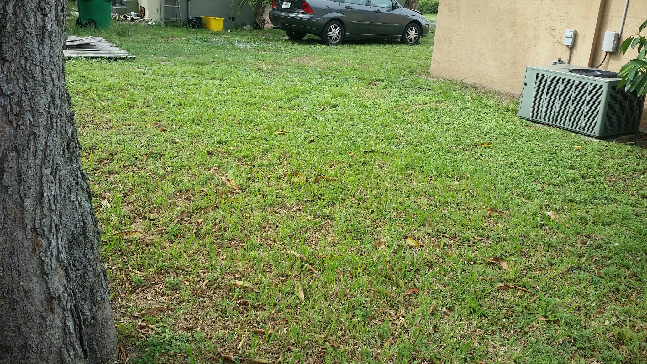 641 West 10th Street Riviera Beach, FL 33404 - Photo 24 of 24 pic14