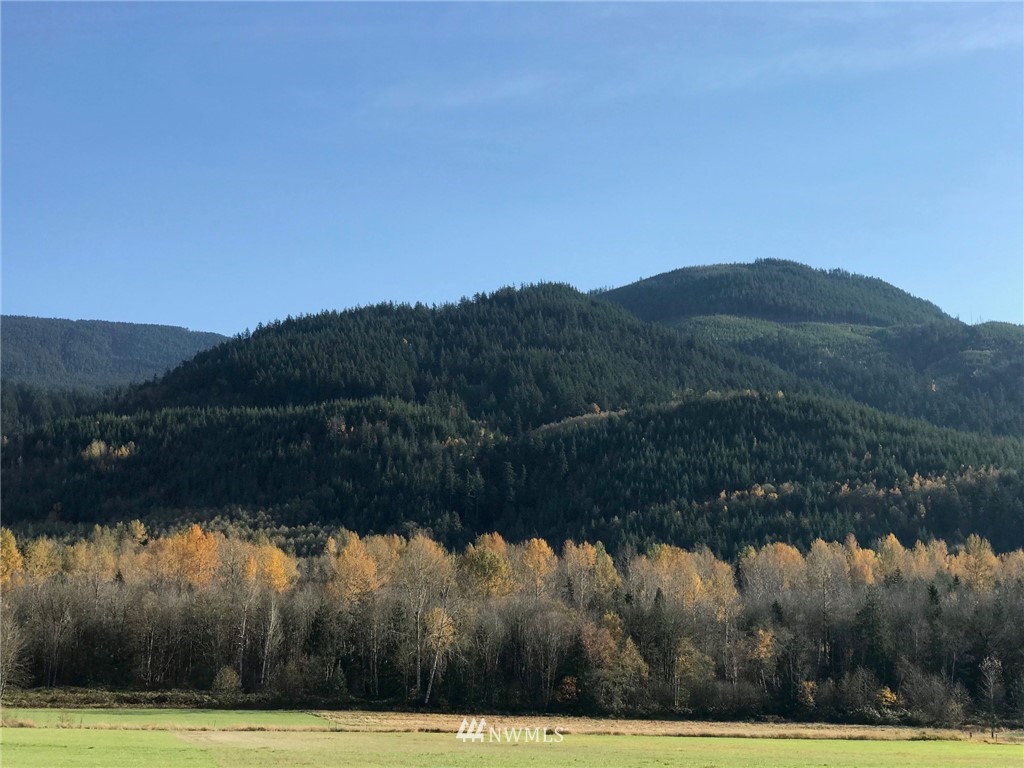 0 Gilmore Road Everson, WA 98247 - Photo 1 of 11