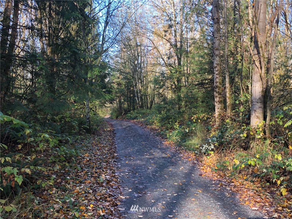 0 Gilmore Road Everson, WA 98247 - Photo 2 of 11