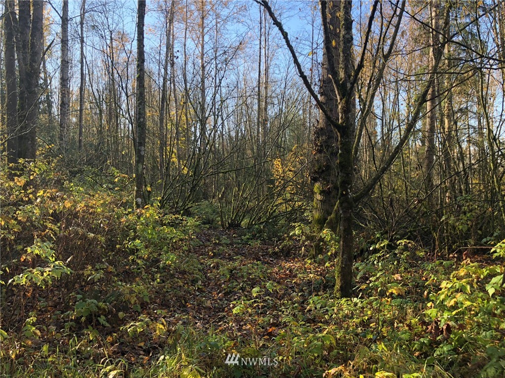 0 Gilmore Road Everson, WA 98247 - Photo 6 of 11