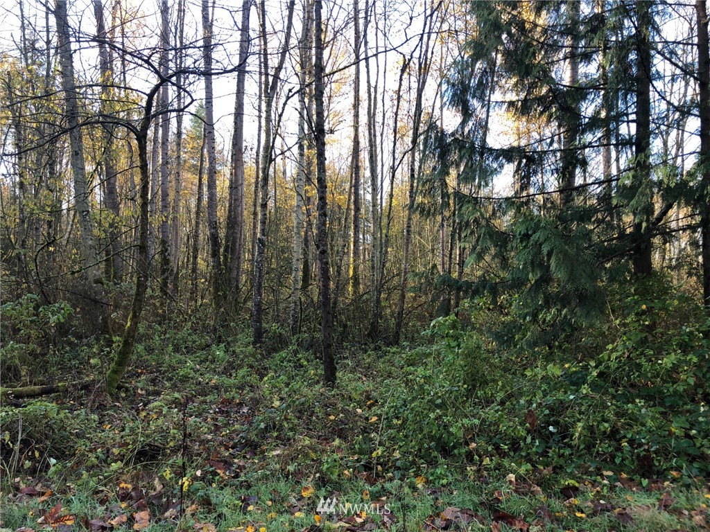 0 Gilmore Road Everson, WA 98247 - Photo 8 of 11