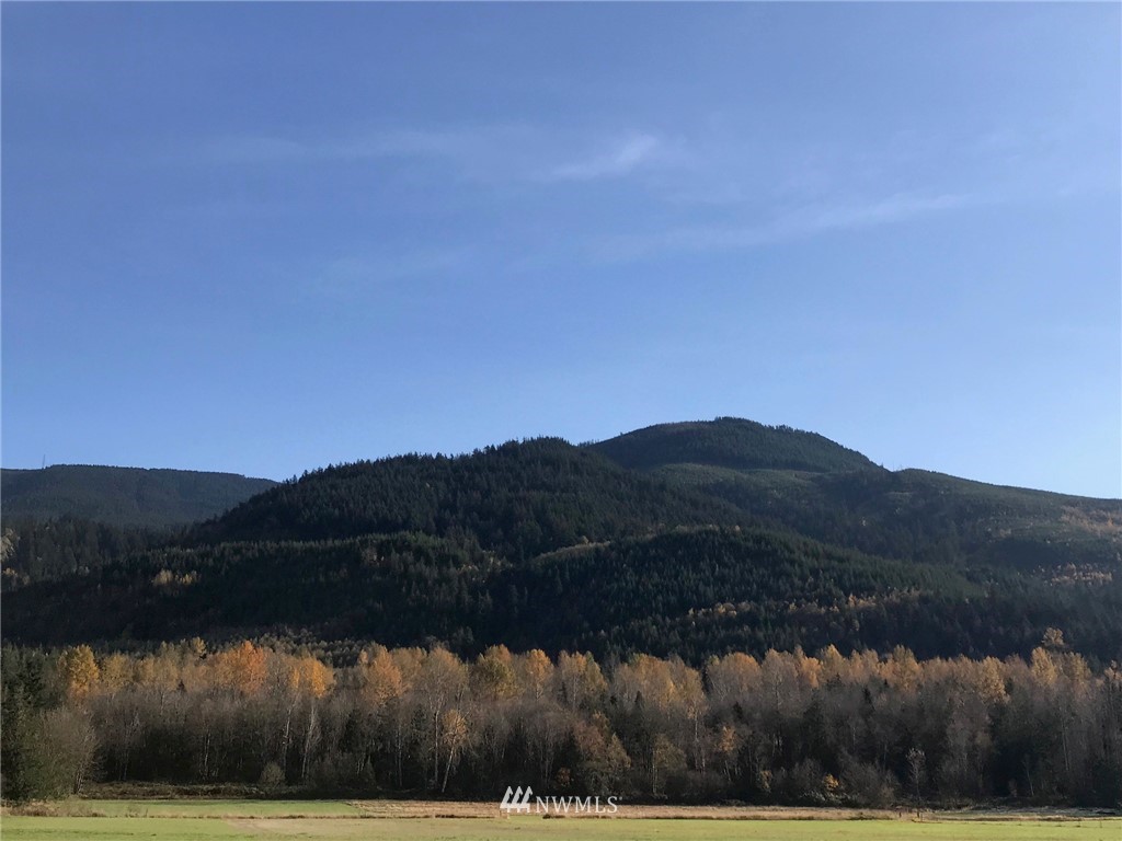 0 Gilmore Road Everson, WA 98247 - Photo 10 of 11