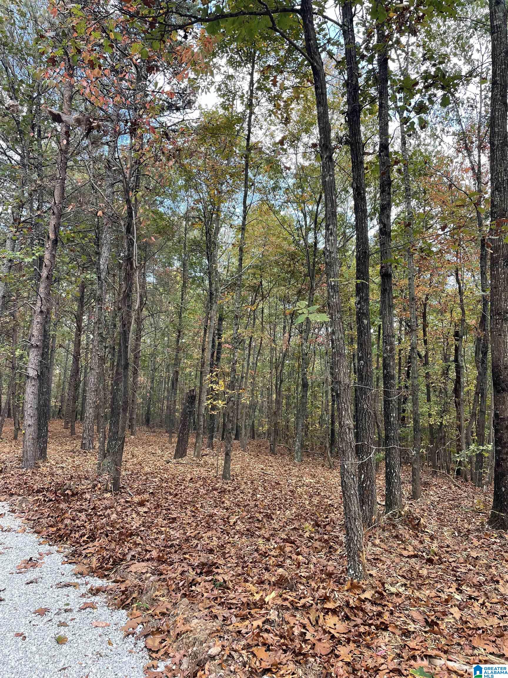 4348 County Road 25, Unit 1 Heflin, AL 36264 - Photo 2 of 22