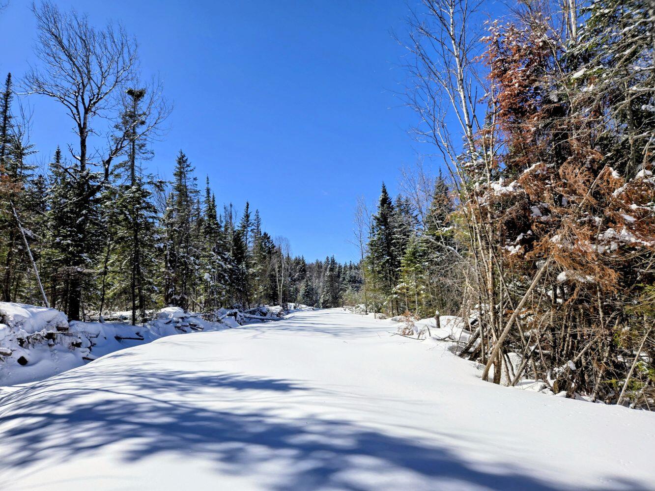 Lot 1 Main Street Sandy River Plt, ME 04970 - Photo 12 of 27 20260325_113322~2_result