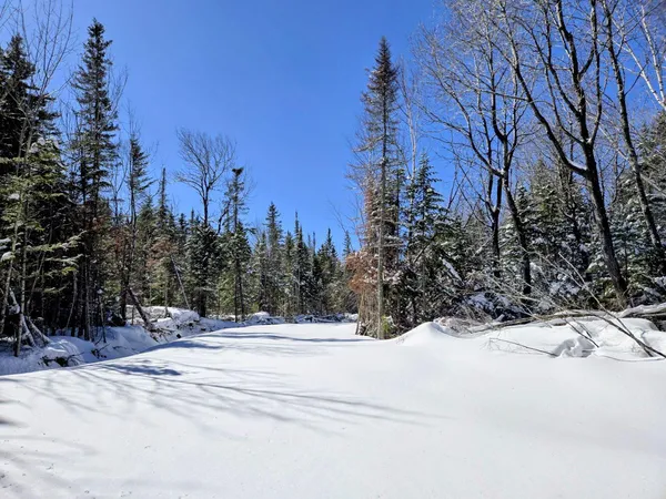 $435,000 | Lot 1 Main Street, Sandy River Plt, ME 04970