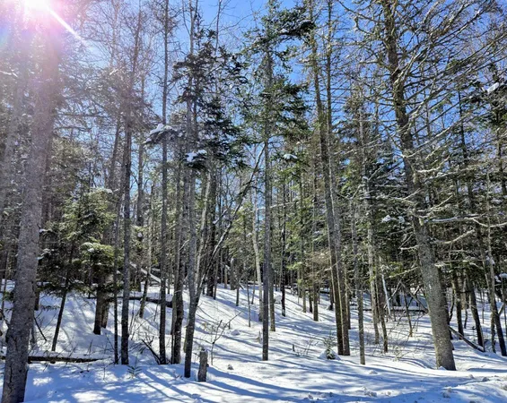 $435,000 | Lot 1 Main Street, Sandy River Plt, ME 04970