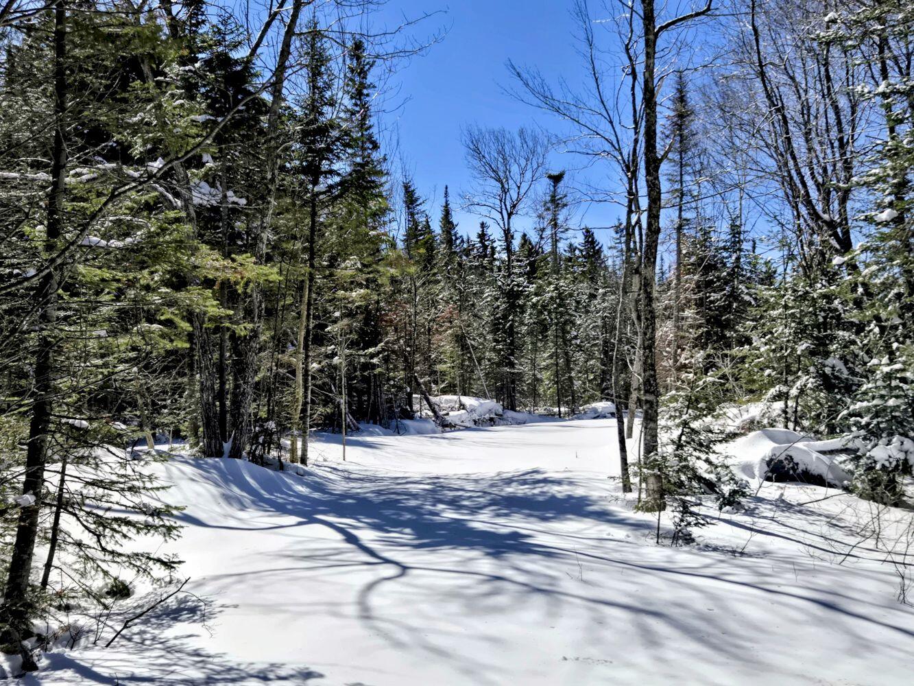 Lot 1 Main Street Sandy River Plt, ME 04970 - Photo 15 of 27 20260325_112937~2_result