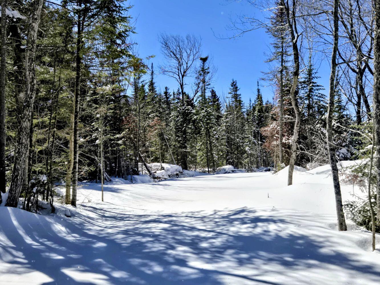 Lot 1 Main Street Sandy River Plt, ME 04970 - Photo 16 of 27 20260325_113237~2_result