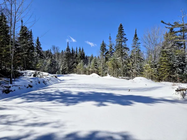 $435,000 | Lot 1 Main Street, Sandy River Plt, ME 04970