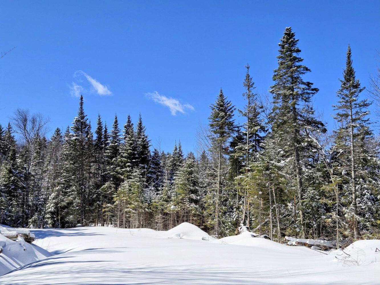 Lot 1 Main Street Sandy River Plt, ME 04970 - Photo 19 of 27 20260325_113544~2_result