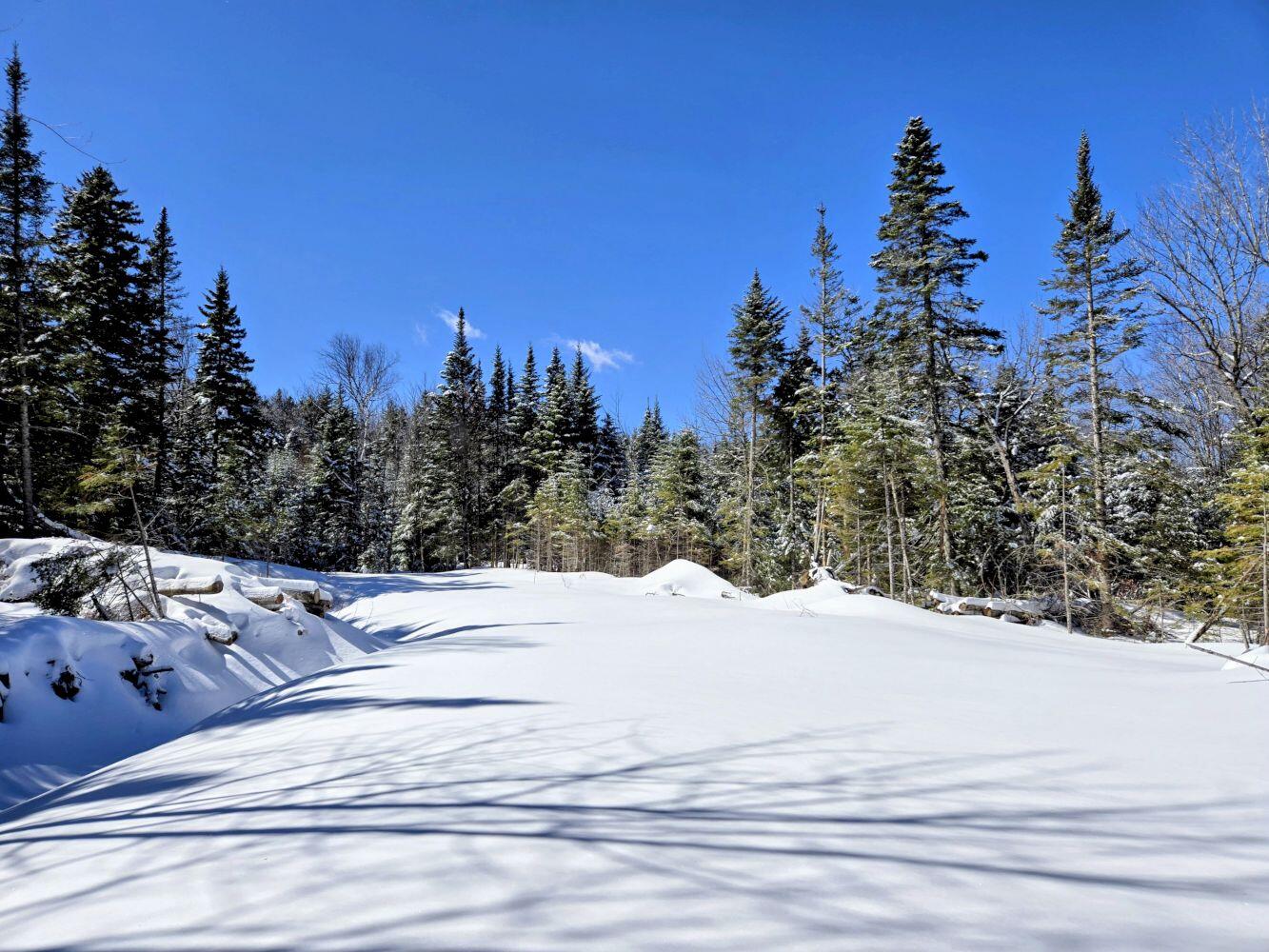 Lot 1 Main Street Sandy River Plt, ME 04970 - Photo 20 of 27 20260325_113558~2_result